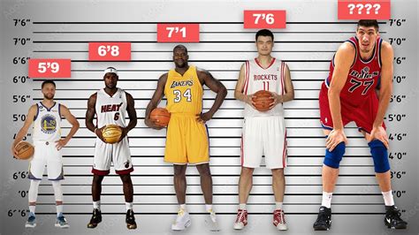 essendon players height comparison